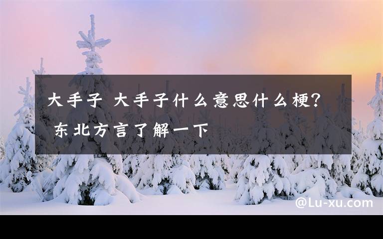 大手子 大手子什么意思什么梗？ 东北方言了解一下