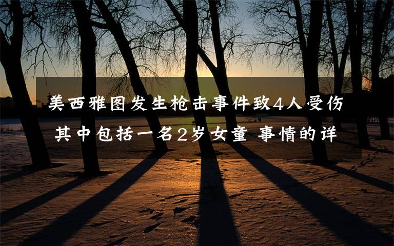 美西雅图发生枪击事件致4人受伤 其中包括一名2岁女童 事情的详情始末是怎么样了!