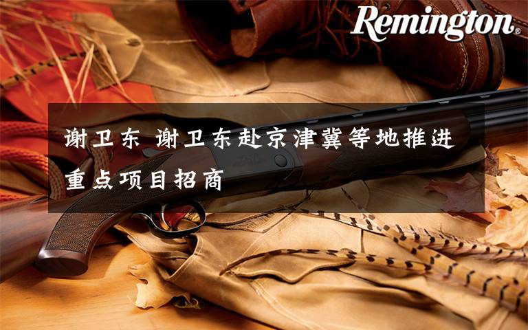 谢卫东 谢卫东赴京津冀等地推进重点项目招商