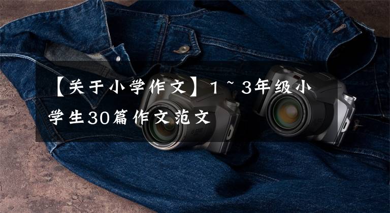 【关于小学作文】1 ~ 3年级小学生30篇作文范文