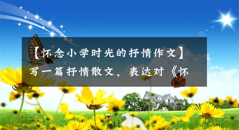 【怀念小学时光的抒情作文】写一篇抒情散文,表达对《怀念母亲》母亲的内疚