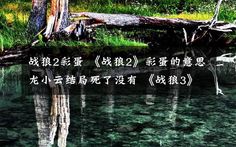 战狼2彩蛋 《战狼2》彩蛋的意思龙小云结局死了没有 《战狼3》什么时候上映