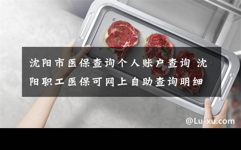 沈阳市医保查询个人账户查询 沈阳职工医保可网上自助查询明细