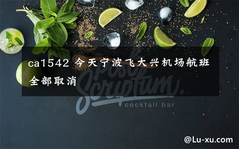 ca1542 今天宁波飞大兴机场航班全部取消