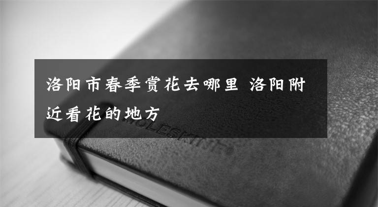洛阳市春季赏花去哪里 洛阳附近看花的地方