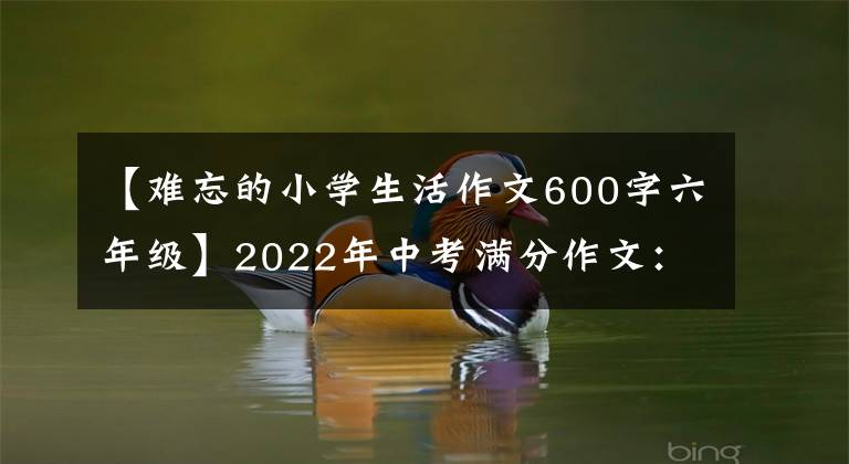 【难忘的小学生活作文600字六年级】2022年中考满分作文:那个_ _ _日(范文4篇)