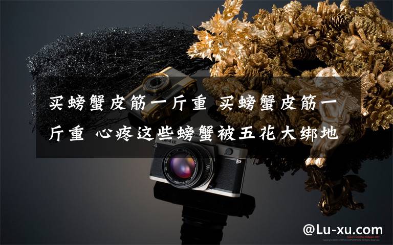 买螃蟹皮筋一斤重 买螃蟹皮筋一斤重 心疼这些螃蟹被五花大绑地这么结实