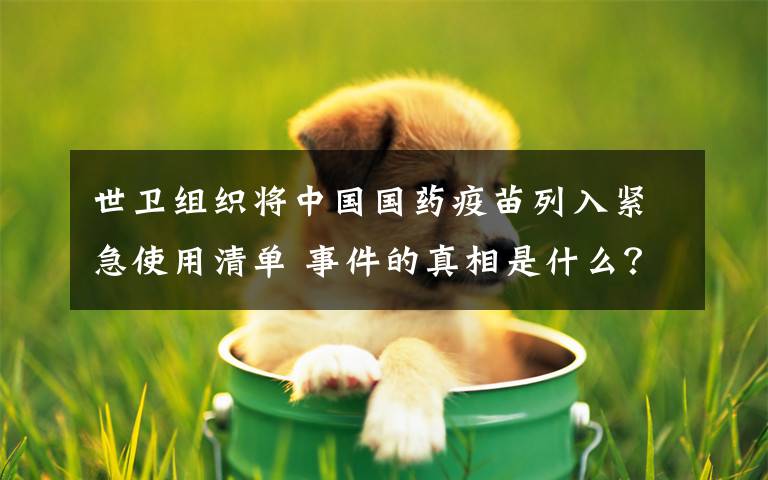 世卫组织将中国国药疫苗列入紧急使用清单 事件的真相是什么?