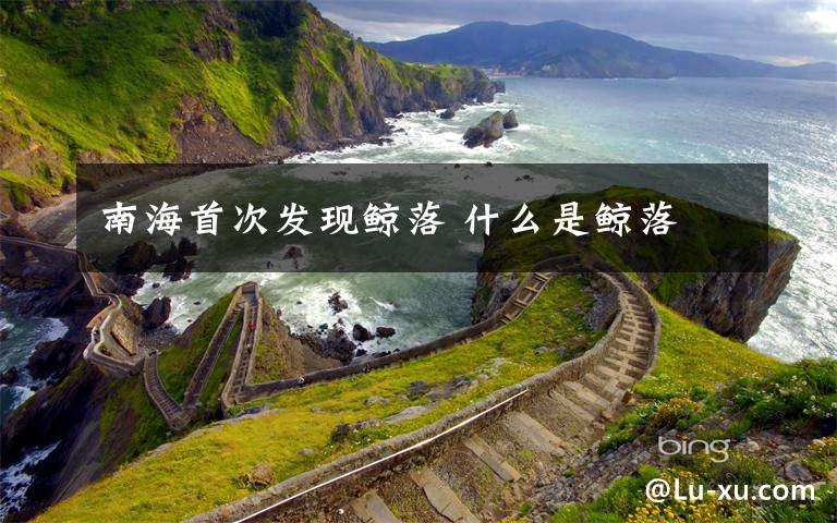 南海首次发现鲸落 什么是鲸落