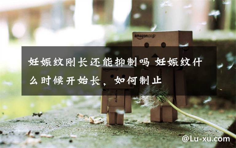 妊娠纹刚长还能抑制吗 妊娠纹什么时候开始长,如何制止