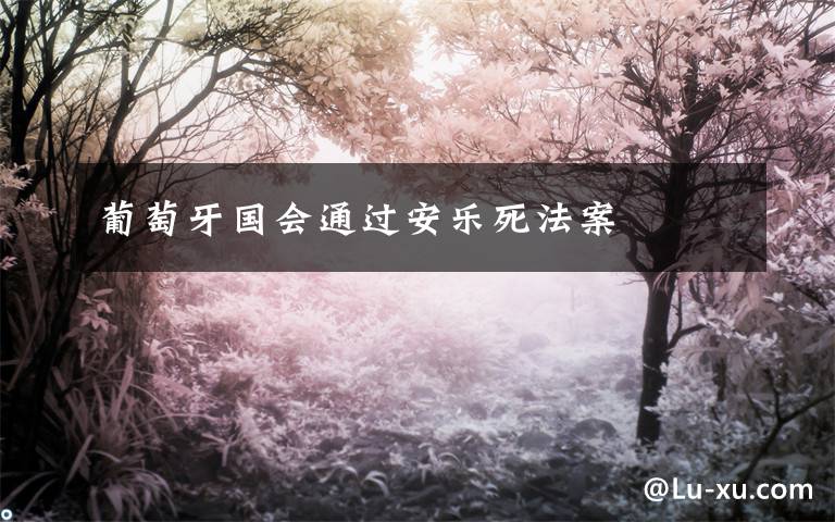 葡萄牙国会通过安乐死法案