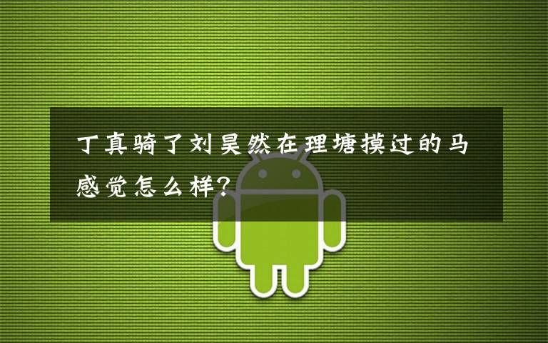 丁真骑了刘昊然在理塘摸过的马 感觉怎么样?