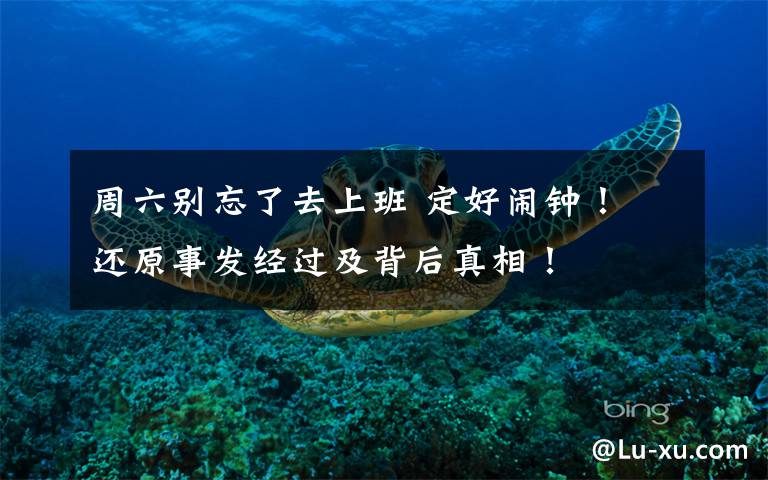 周六别忘了去上班 定好闹钟! 还原事发经过及背后真相!