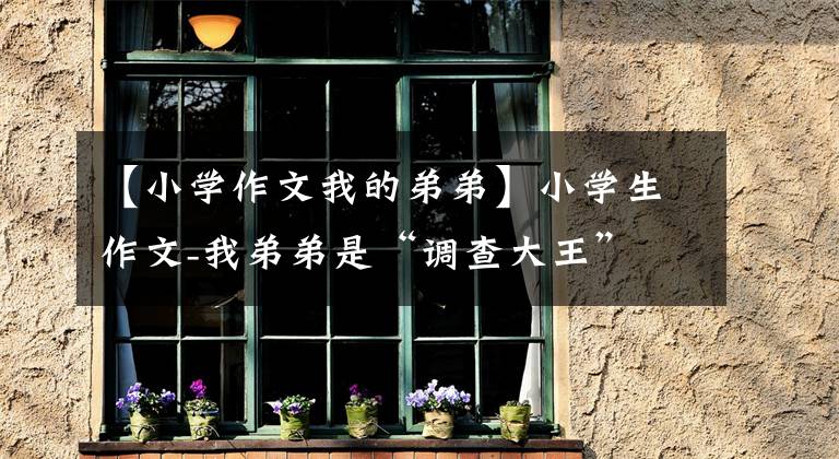 【小学作文我的弟弟】小学生作文-我弟弟是“调查大王”