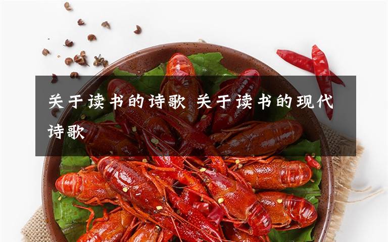 关于读书的诗歌 关于读书的现代诗歌