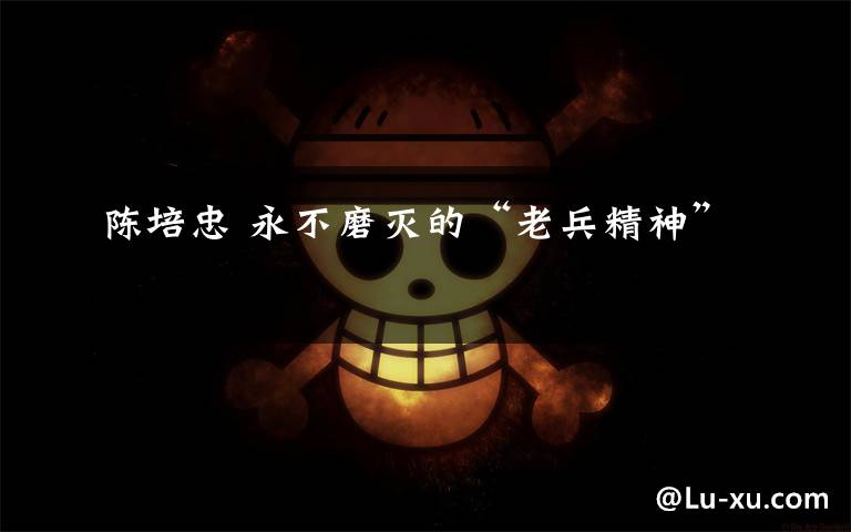 陈培忠 永不磨灭的“老兵精神”