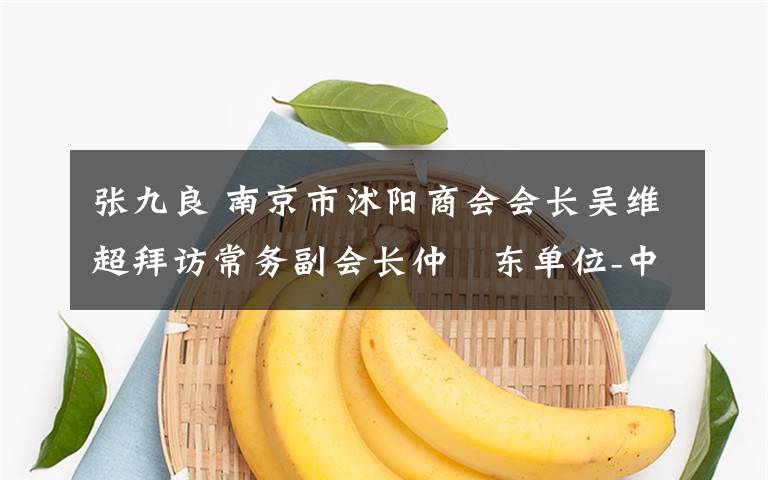 张九良 南京市沭阳商会会长吴维超拜访常务副会长仲祎东单位-中北联合科技集团
