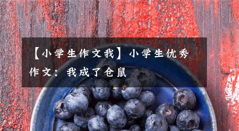 【小学生作文我】小学生优秀作文:我成了仓鼠