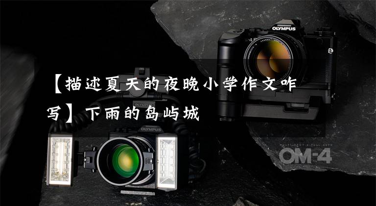 【描述夏天的夜晚小学作文咋写】下雨的岛屿城