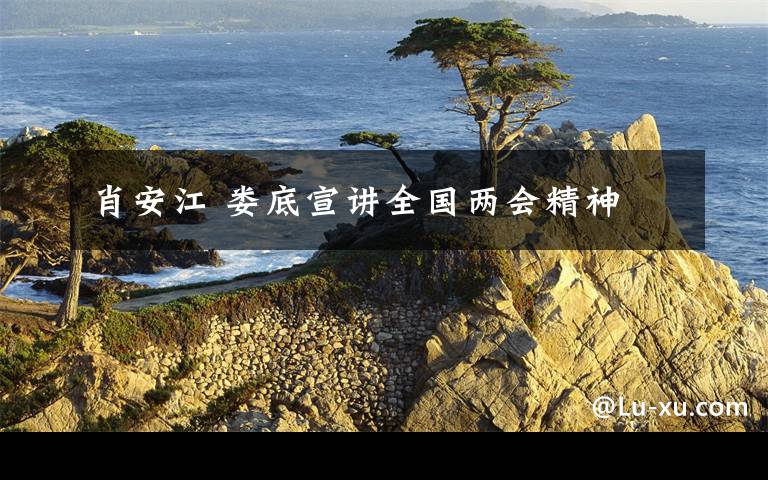 肖安江 娄底宣讲全国两会精神