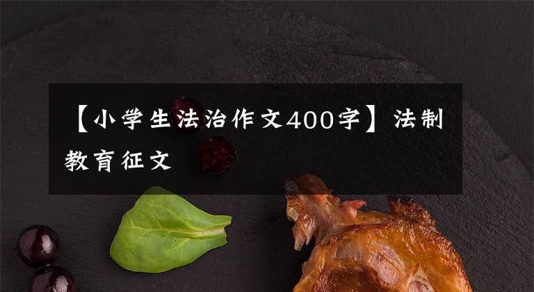 【小学生法治作文400字】法制教育征文
