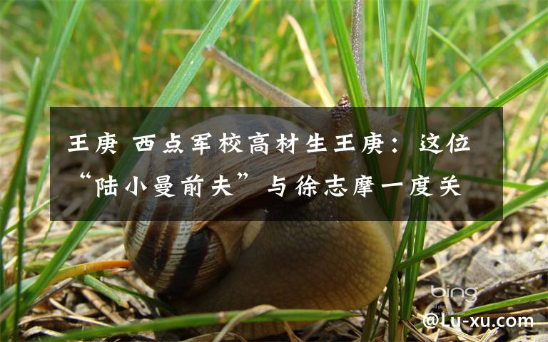 王庚 西点军校高材生王庚:这位“陆小曼前夫”与徐志摩一度关系密切