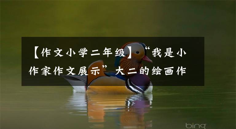 【作文小学二年级】“我是小作家作文展示”大二的绘画作文——周只有《送苹果》 (1)