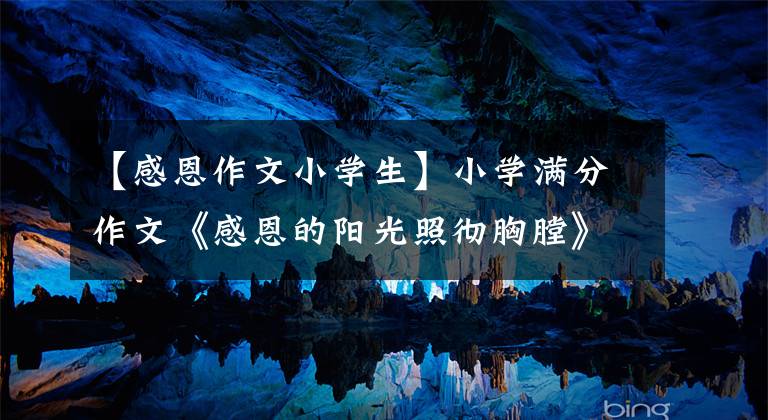 【感恩作文小学生】小学满分作文《感恩的阳光照彻胸膛》心感谢，满眼的阳春