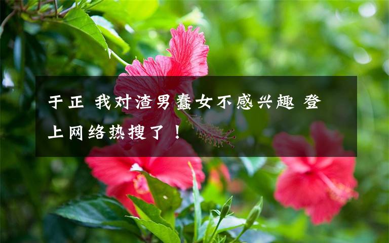 于正 我对渣男蠢女不感兴趣 登上网络热搜了!