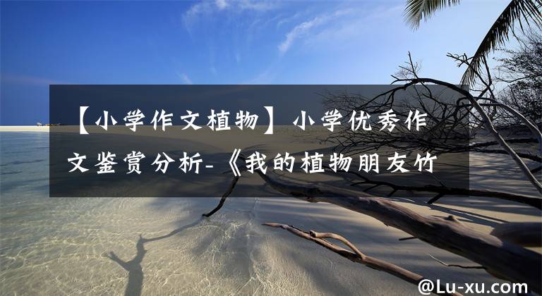 【小学作文植物】小学优秀作文鉴赏分析-《我的植物朋友竹子》 400字,精选范文2篇。