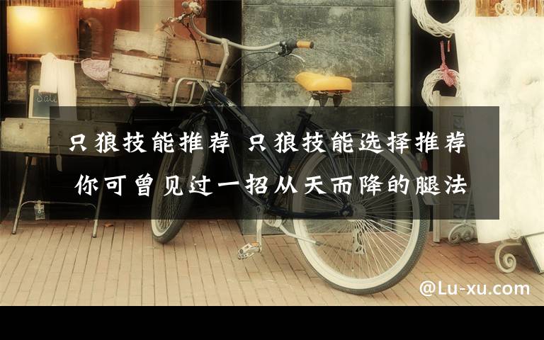 只狼技能推荐 只狼技能选择推荐 你可曾见过一招从天而降的腿法