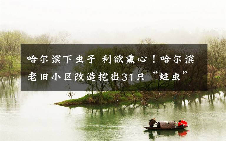 哈尔滨下虫子 利欲熏心!哈尔滨老旧小区改造挖出31只“蛀虫”