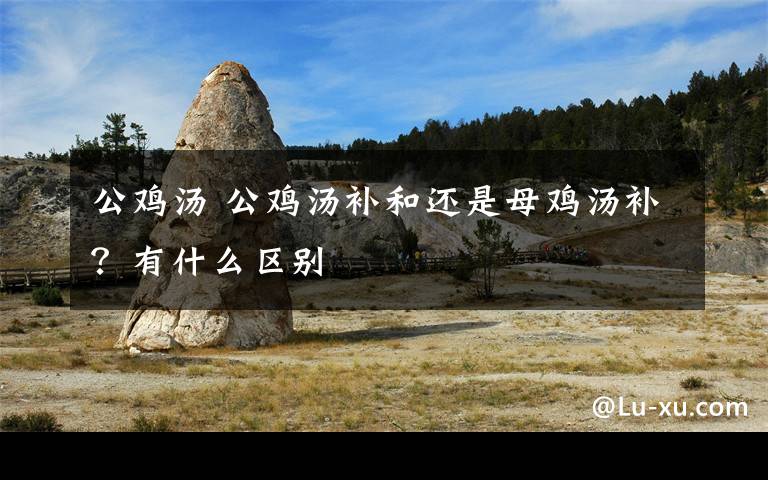 公鸡汤 公鸡汤补和还是母鸡汤补?有什么区别