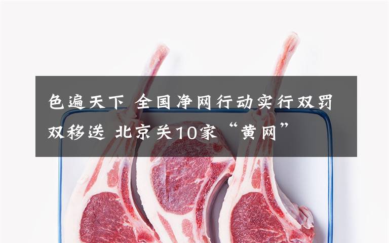 色遍天下 全国净网行动实行双罚双移送 北京关10家“黄网”