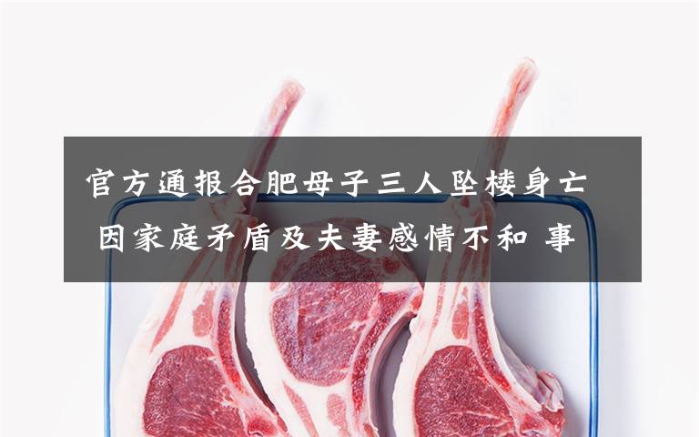 官方通报合肥母子三人坠楼身亡 因家庭矛盾及夫妻感情不和 事件详情始末介绍!