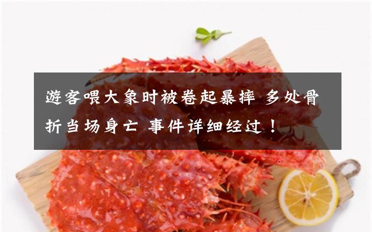 游客喂大象时被卷起暴摔 多处骨折当场身亡 事件详细经过!