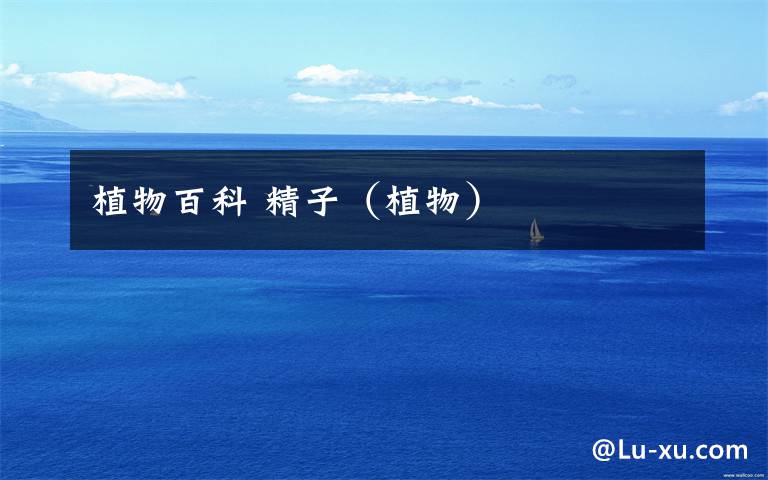 植物百科 精子(植物)