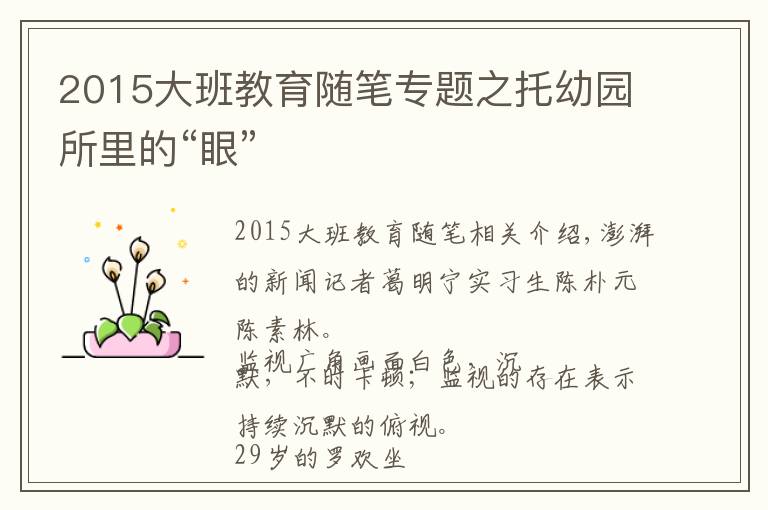 2015大班教育随笔专题之托幼园所里的“眼”