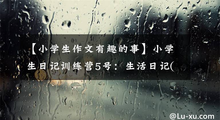【小学生作文有趣的事】小学生日记训练营5号:生活日记(3)——我家的新鲜事,搞笑