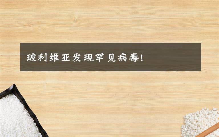 玻利维亚发现罕见病毒!