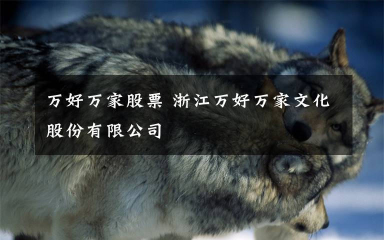 万好万家股票 浙江万好万家文化股份有限公司
