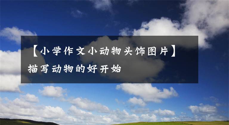 【小学作文小动物头饰图片】描写动物的好开始