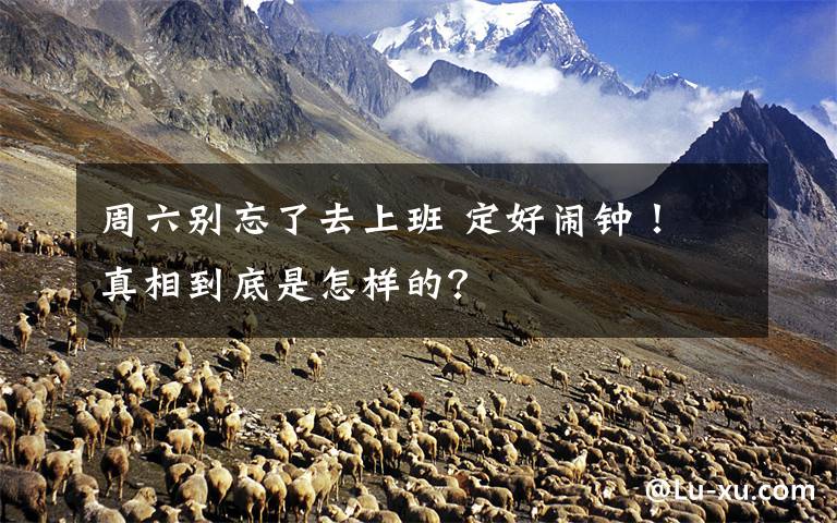 周六别忘了去上班 定好闹钟! 真相到底是怎样的?
