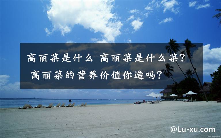 高丽菜是什么 高丽菜是什么菜? 高丽菜的营养价值你造吗?