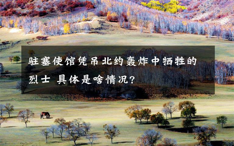 驻塞使馆凭吊北约轰炸中牺牲的烈士 具体是啥情况?