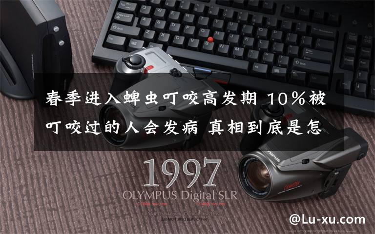 春季进入蜱虫叮咬高发期 10%被叮咬过的人会发病 真相到底是怎样的?