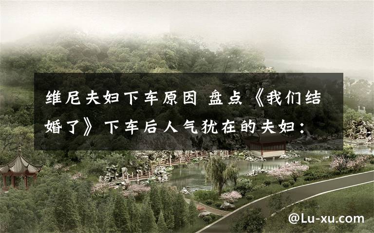 维尼夫妇下车原因 盘点《我们结婚了》下车后人气犹在的夫妇:维尼夫妇“在一起”呼声最高