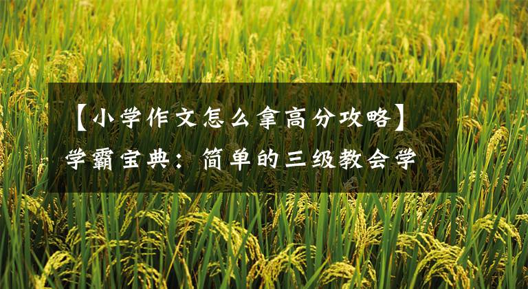 【小学作文怎么拿高分攻略】学霸宝典:简单的三级教会学生写优秀的论文。