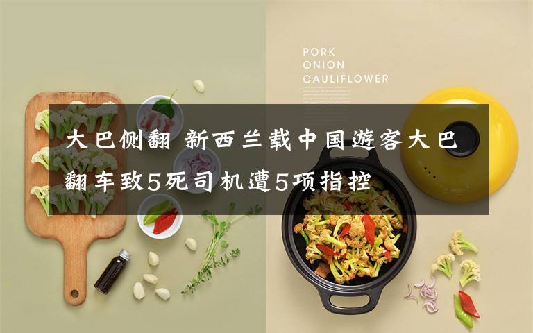 大巴侧翻 新西兰载中国游客大巴翻车致5死司机遭5项指控