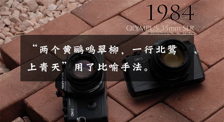 “两个黄鹂鸣翠柳,一行北鹭上青天”用了比喻手法。